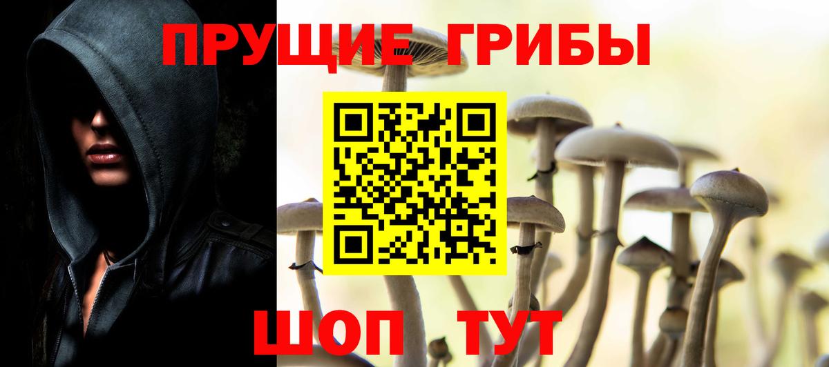 Галлюциногенные грибы Magic Shrooms Холмск